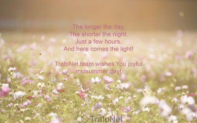 TrafoNet team wishes You joyful midsummer day!
