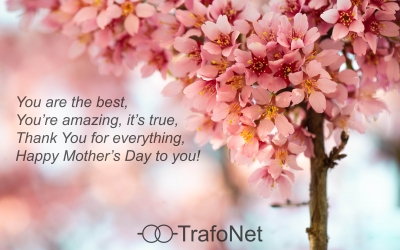 Dear mothers, TrafoNet team wishes You happy Mother’s Day!